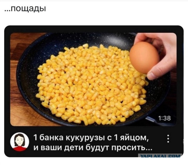 Веселые картинки к пятнице (16.08)