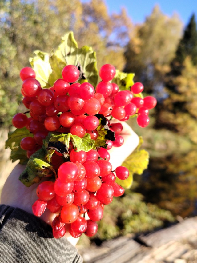 Осень на озёрах 2