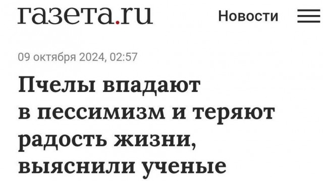 Нуштош 17.10.2024