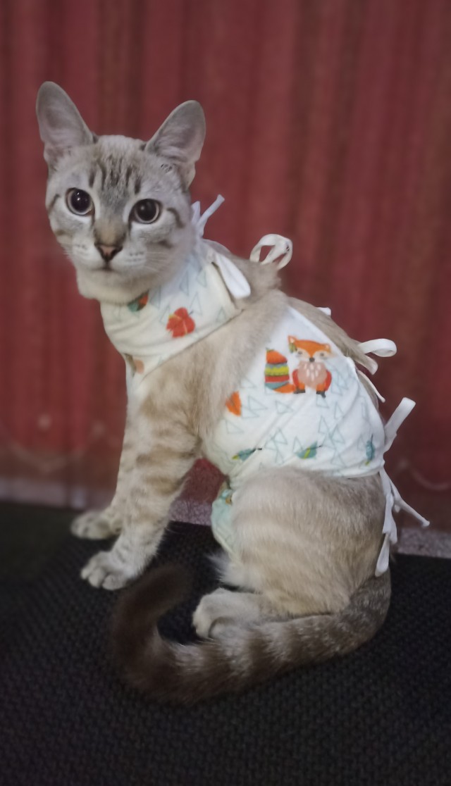 Просто фото