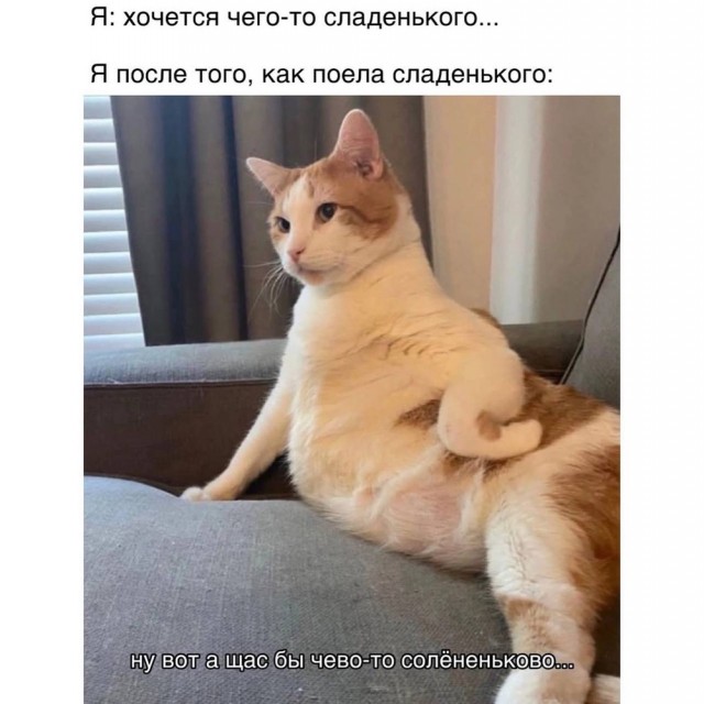 Немного забавных картинок от 13.02.2025