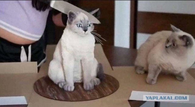 А когда будет восстание машин?
