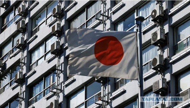 Япония придумала ответ на пошлины США