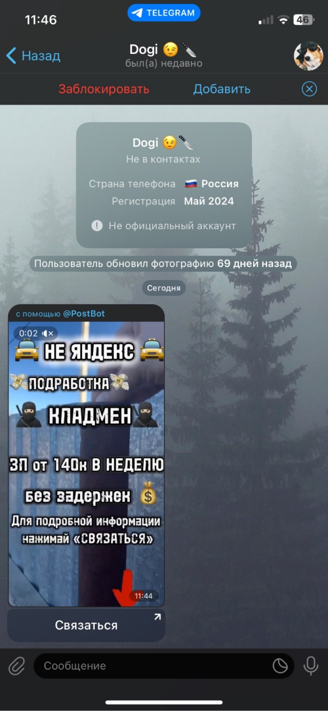 Вот такой спам пришел в тг.