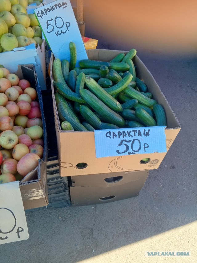 «Продукты официально подорожали на 12%, а реально — на 30». Россияне ждут аномального роста цен и экономят на еде
