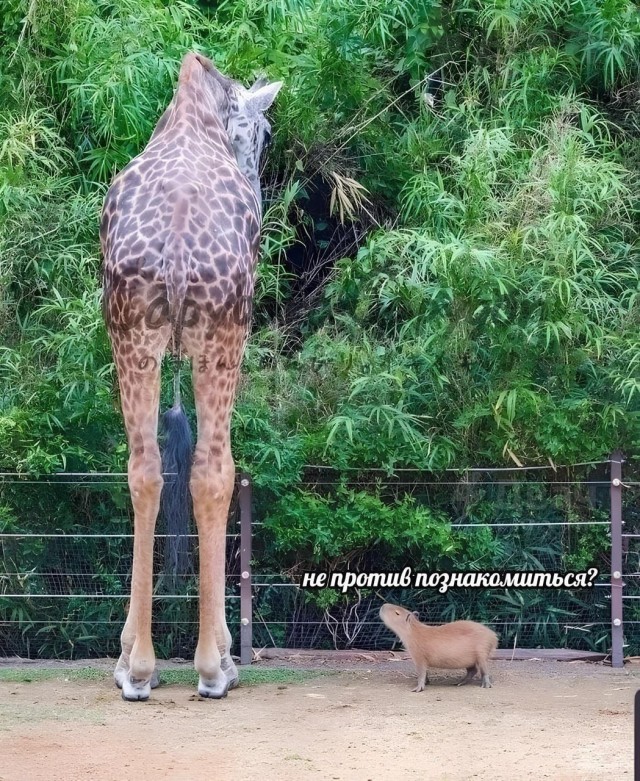 Помните — рост это не главное