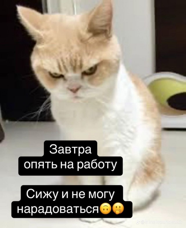 Так себе картинки 26.06.25