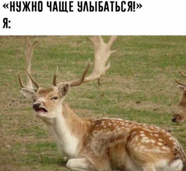 Так себе картинки 22.08.25