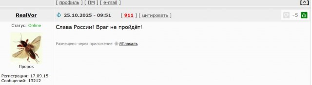 Силы ПВО сбили седьмой беспилотник на подлете к Москве