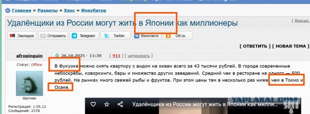 Удалёнщики из России могут жить в Японии как миллионеры