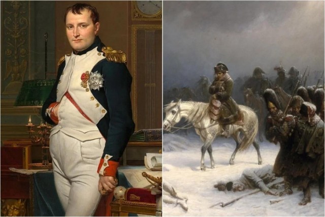 Анализ ДНК показал, от чего погибла огромная армия Наполеона в России
