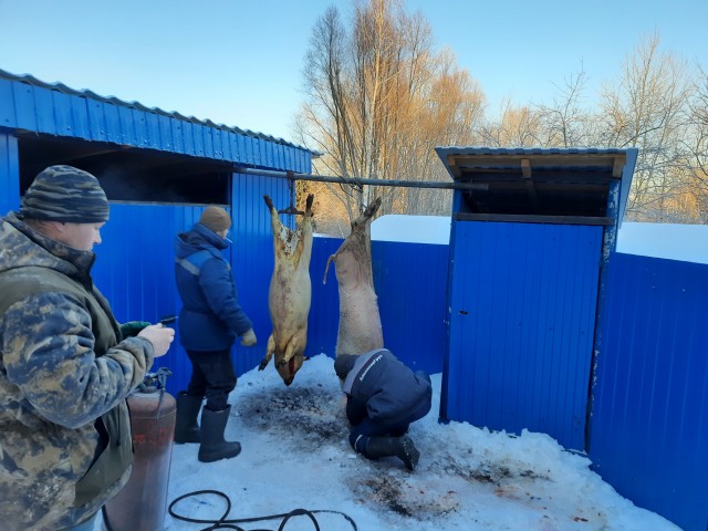 Расследование