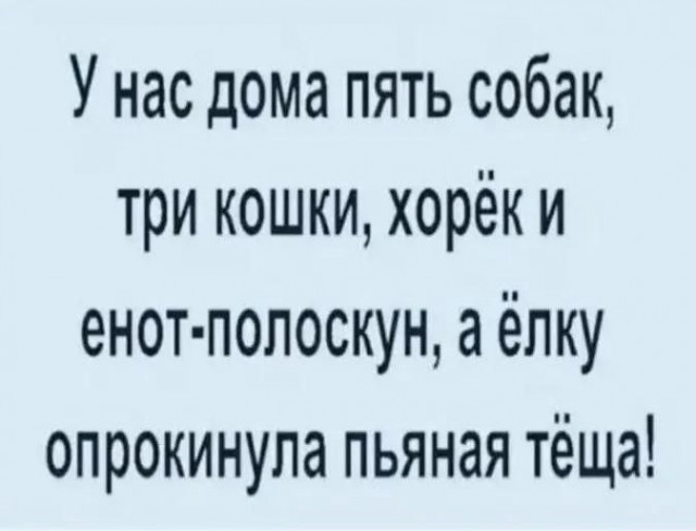 Субботние картинки