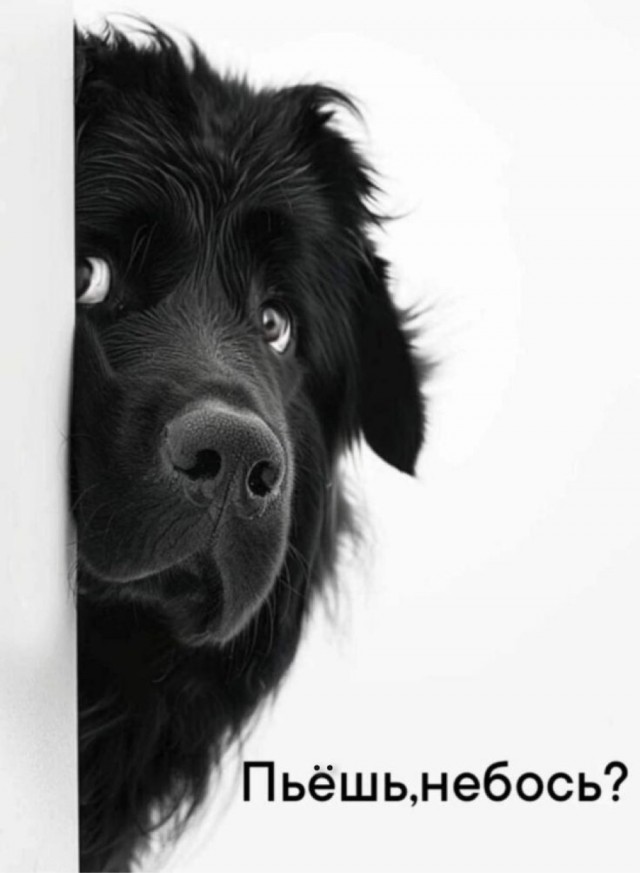 "Ах, люблю я поэтов! Забавный народ! (с)" комментарий к посту "ТРАМП: МОЯ СВО ИДЁТ ХОРОШО! "