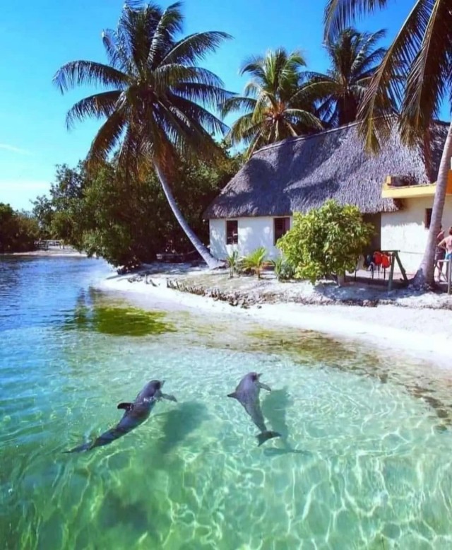 Количество поисковых запросов о переезде из России начало расти