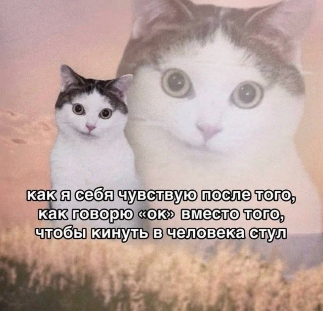 Немного картинок - продолжение 8