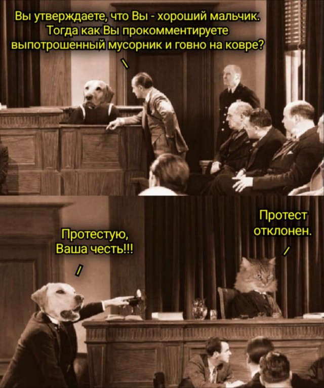 Веселые картинки в пятницу (03.07)
