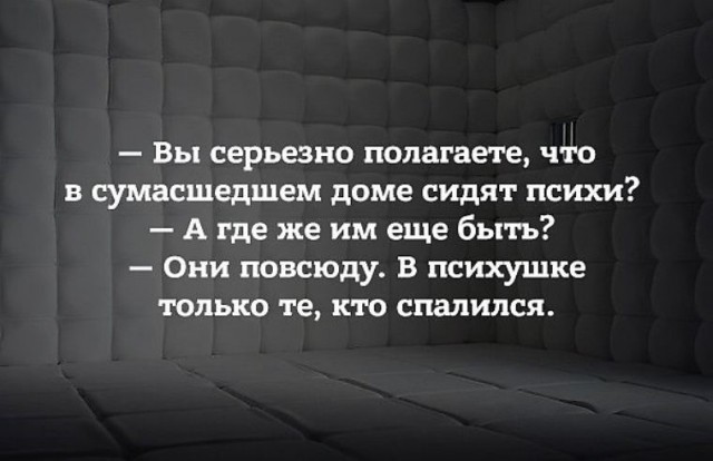 Дурдом