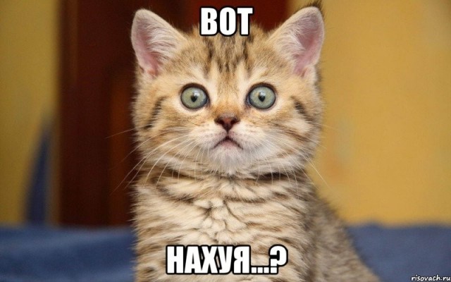 Наглядный пример для чего нужны войска ООН
