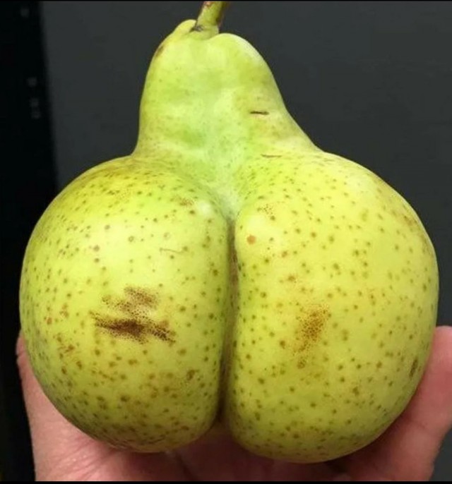 Пятничные жопки