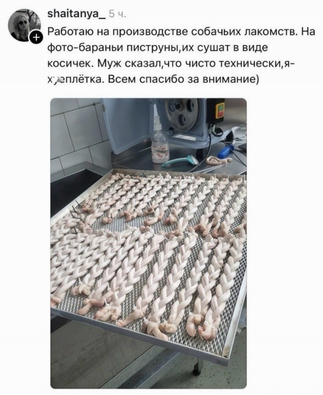 Веселые картинки в пятницу 07.08