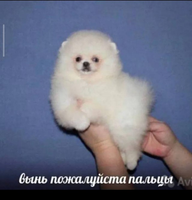 Деградинки