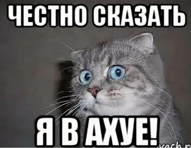 Хочу красивых мужиков в ленту!