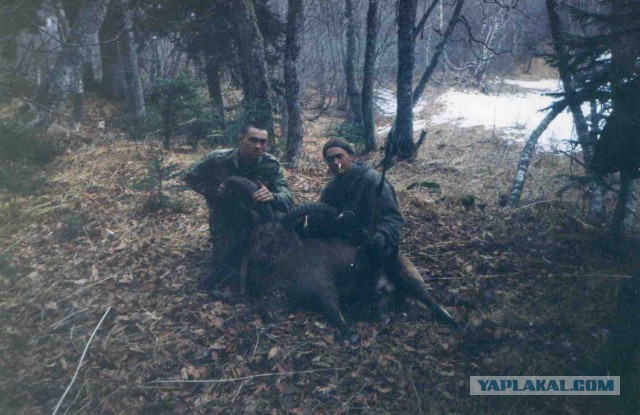 Житель Якутии зарезал медведя ножом