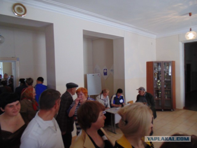 Подборка фото с референдума