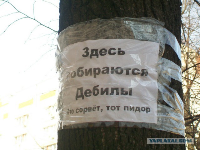 Где живем, там и ср...