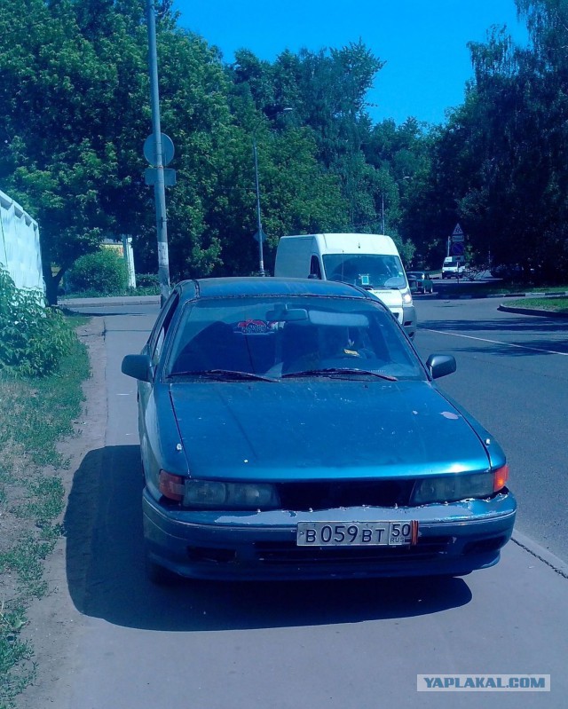 СтопХам