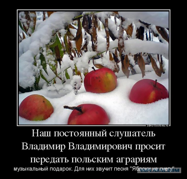 Брюссельские идиоты.