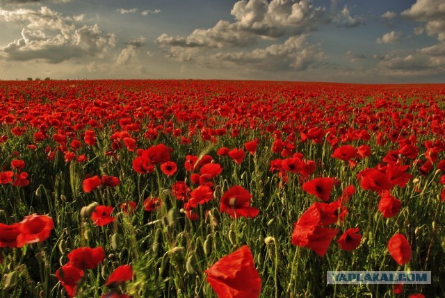 Путешествие в Восточный Аккар