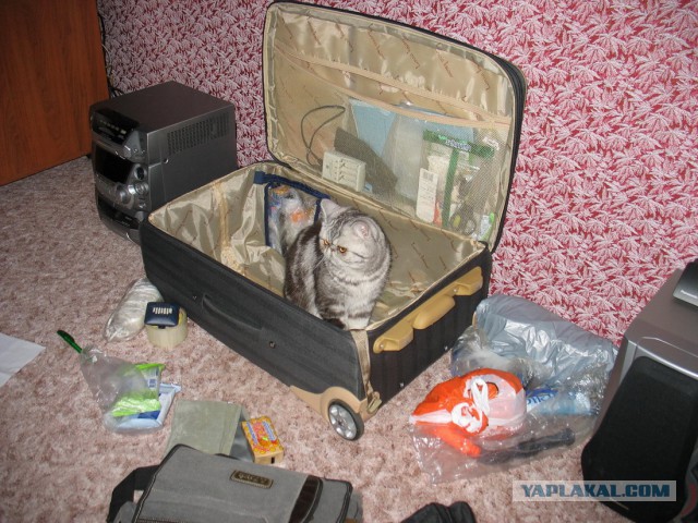 Хозяин , в отпуск собрался? -Я с тобой!