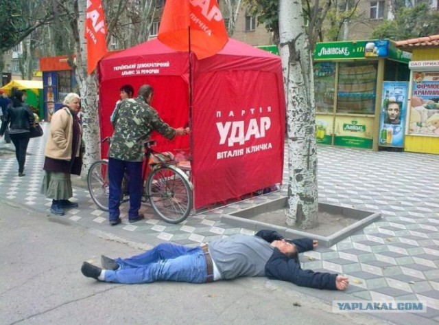 Топ 10 ляпов и мемов предвыборной кампании-2012
