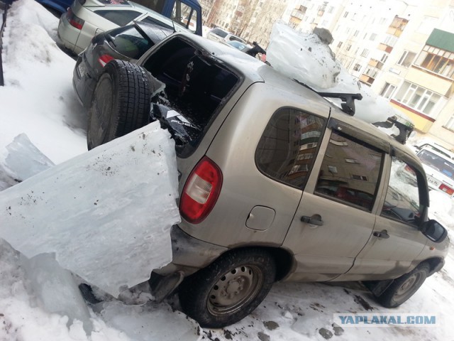 Как я встретил ЯПовца