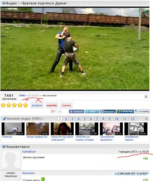 Малый не испугался