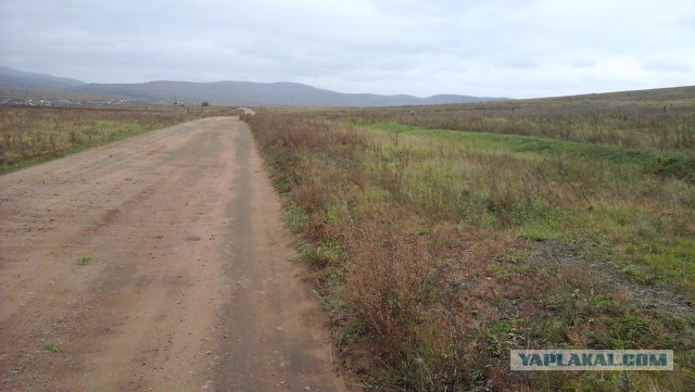 Правильной пятницы псто