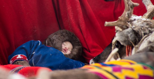 Что ненцу хорошо, русскому не понять