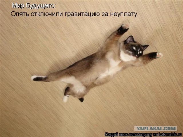 Мохнатые беспредельщики