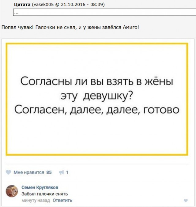 Смешные комментарии из социальных сетей 21.10.2016