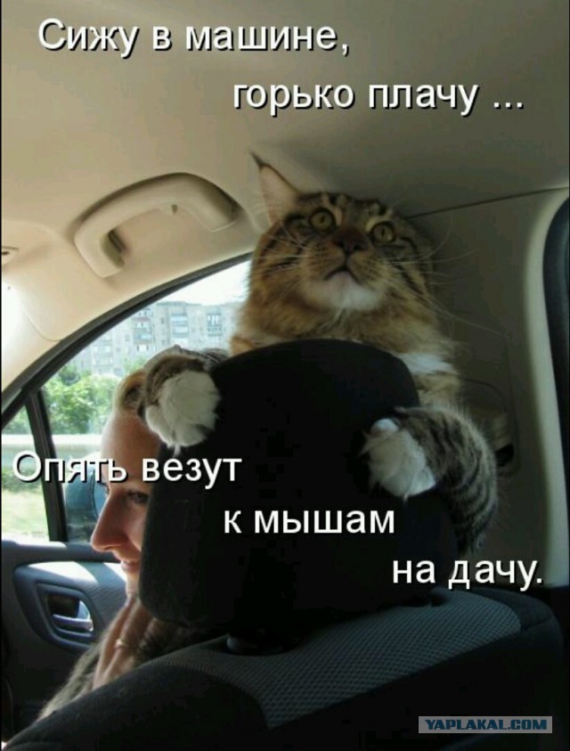 Немного позитива на выходной я начну а вы продолжите