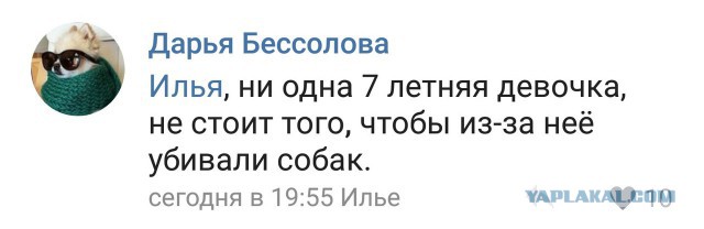 В Уфе два подростка срезали кожу с живого щенка