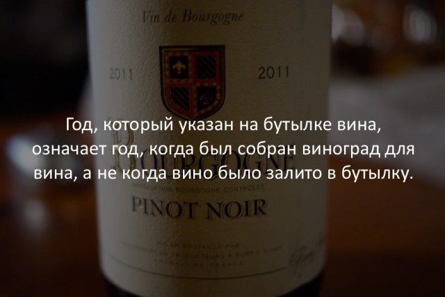 40 интересных фактов в картинках.