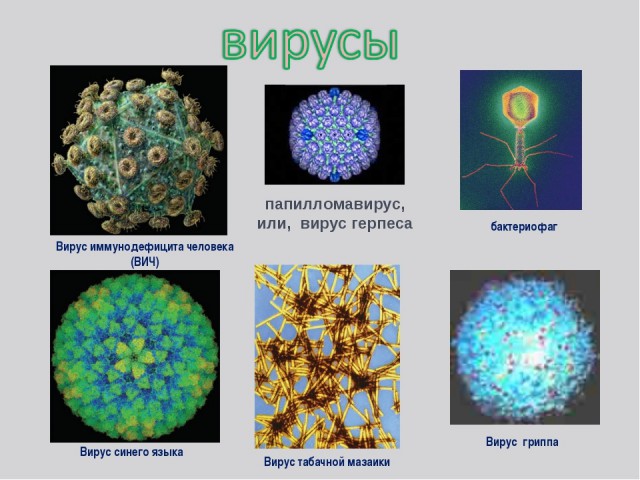 Все больше людей ударяются в мракобесие и отрицают существование ВИЧ