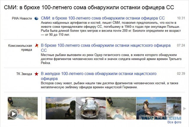 Бывают ли сомы - Людоеды?