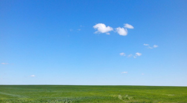 100 тысяч долларов против 45 долларов: разница в гонорарах авторов обоев Windows XP