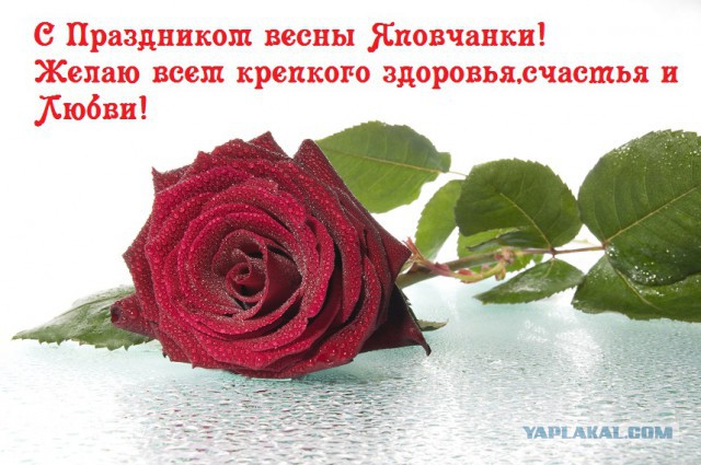 ЯПлакал woman style. 8 марта посвящается