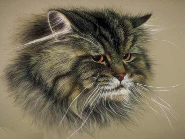 Рисованные киски