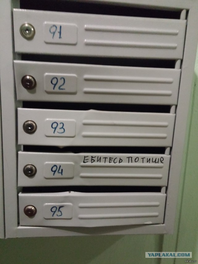 Дивный мир объявлений в подъездах